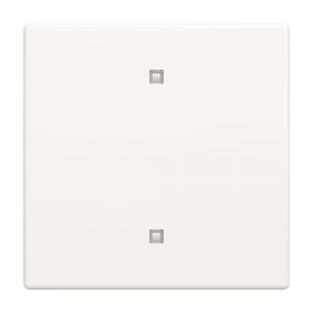 Busch-Jaeger 2570-10-84 2570-10-84 Wippe Elektroniktaster