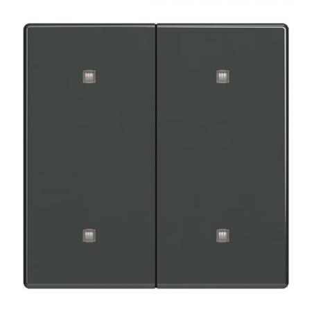 Busch-Jaeger 2570-20-81 2570-20-81 Wippe 2-fach Elekroniktaster