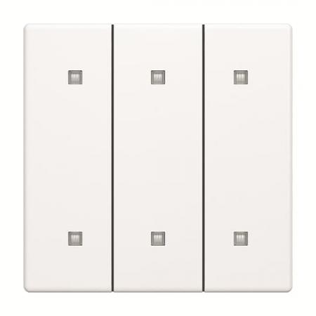 Busch-Jaeger 2570-30-884 2570-30-884 Wippe 3-fach Elekroniktaster