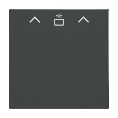 Busch-Jaeger 1792 RFID-81 1792 RFID-81 Zent.Sch.Cardschalter RFID