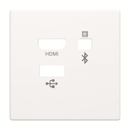 Busch-Jaeger 8256-884 Zent.Sch. Media Connector