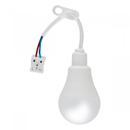 EVN LED Leuchtmittel BF230940