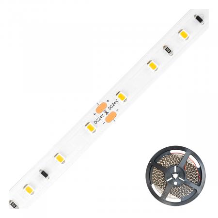 EVN Niedervolt LED-Strip, IP20, kürzbar ICSB2024302827