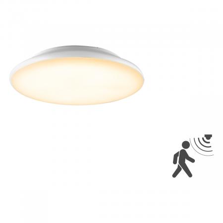 EVN LED Anbauleuchte mit Bewegungsmelder L25120125BM
