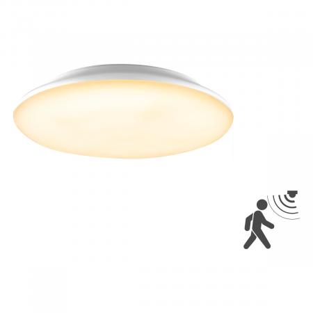 EVN LED Anbauleuchte mit Bewegungsmelder L30180125BM
