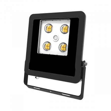 EVN LED Wallpainter, IP65 LFE100940