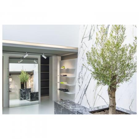 SLV 1006119 NUMINOS DALI ZOOM M 3 Phasen Spot weiß 20W 4000K 15°