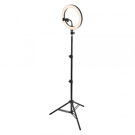 Osram Mobiles LED-Ringlicht mit Stativ für Bild- und Produktbeleuchtung mit USB & Bluetooth