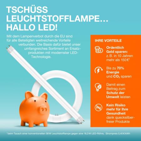 OSRAM SubstiTUBE Entry EM ST8E-EM 8W 840 600mm G13 T8 LED Röhre für KVG 4000K