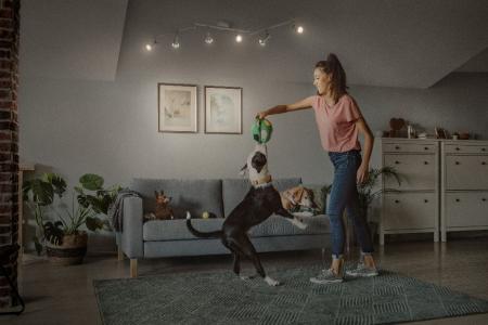 OSRAM LED SPOT GU10 6er Deckenstrahler dimmbar Weiß 2700K warmweiße Lichtfarbe mit hoher Farbwiedergabe