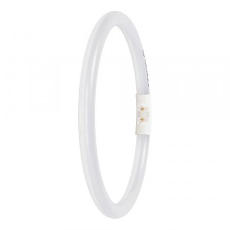 Ledvance LED T5 FC 22 EXTERNAL 11.6W 865 2GX13