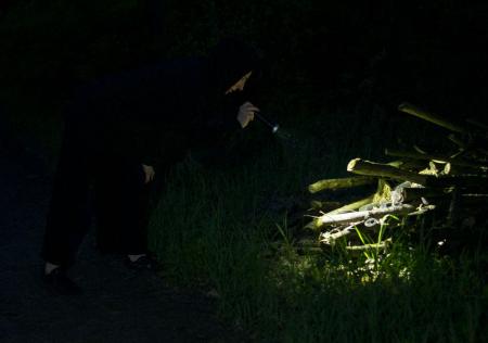 Ledvance LED Taschenlampe FLASHLIGHT SPOTLIGHT TACTICAL für 6xAAA Batterien exkl. IP65