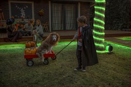 20M Osram Outdoor Flex LED-Streifen IP65 RGB mit Fernbedienung - bis 50 m erweiterbar, inkl. Kabeltrommel, Montagezubehör, Anschlusskabel