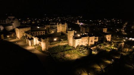 LEDVANCE FLOODLIGHT FLEX ASYMMETRIC 55 X 120 250W ML 840 A55X120 WAL