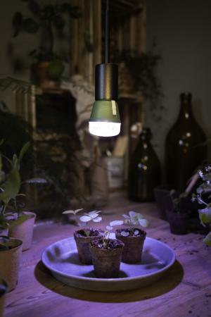 OSRAM E27 LED Strahler Star Grow Lamp T 80 20W Pflanzenlampe