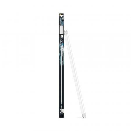 Bellalux LED TUBE T8 6,6W 600mm 800lm 6500K 190° G13 KVG/VVG/230V Tageslicht