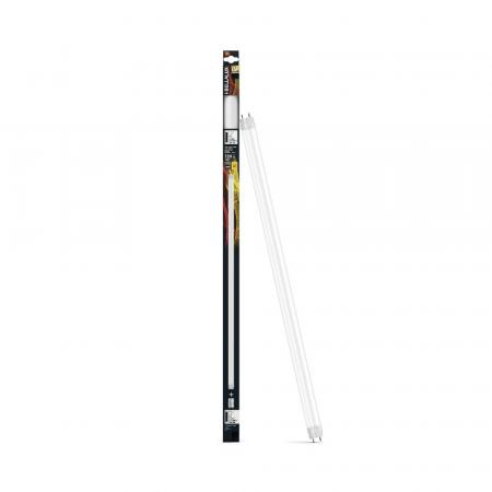 Bellalux LED TUBE T8 6,6W 600mm 720lm 3000K 190° G13 KVG/VVG/230V Warmweiß