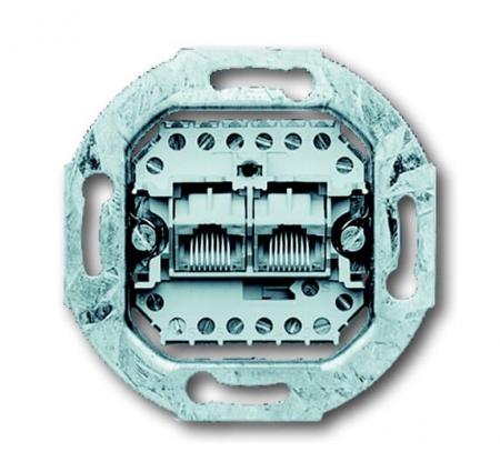 Busch-Jaeger 0215 UAE-Anschlussdose mit Schrägauslass 2 Steckbuchsen 8/8-polig