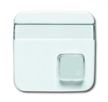 Busch-Jaeger 1571 CN-214 Zentralscheibe 1-fach mit Beschriftungsfeld