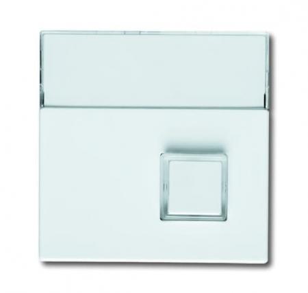 Busch-Jaeger 1571 CN-84 Zentralscheibe 1-fach mit Beschriftungsfeld