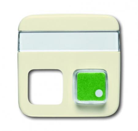 Busch-Jaeger 1572 CN-212 Zentralscheibe 2-fach mit Beschriftungsfeld