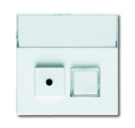 Busch-Jaeger 1572 CN-84 Zentralscheibe 2-fach mit Beschriftungsfeld