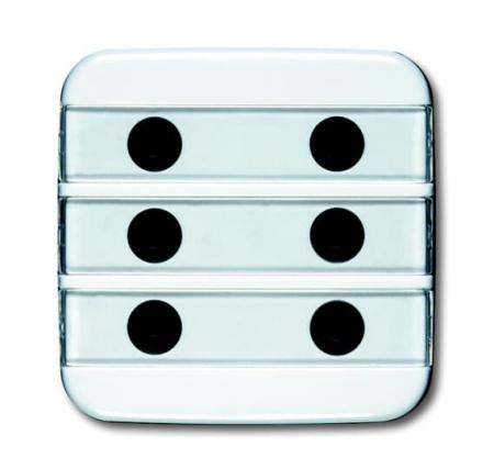 Busch-Jaeger 1575 CN-214 Zentralscheibe 6-fach beleuchtbar mit Beschriftungsfeld