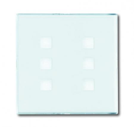 Busch-Jaeger 1575 CN-84 Zentralscheibe 6-fach beleuchtbar mit Beschriftungsfeld