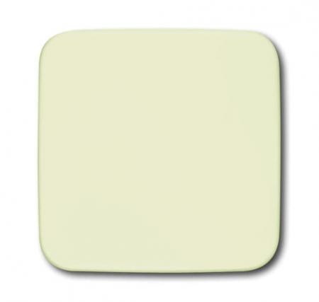 Busch-Jaeger 1576 C-212 Blindzentralscheibe Für Netzteil-Einsatz