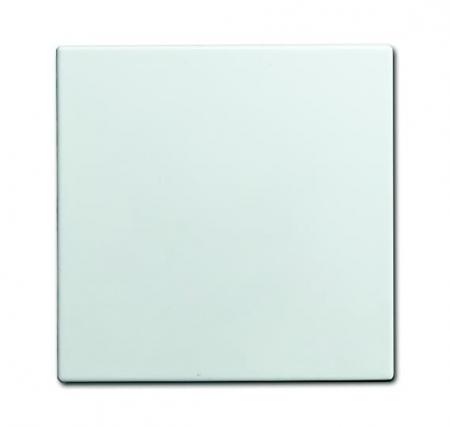 Busch-Jaeger 1576 C-914 Blindzentralscheibe Für Netzteil-Einsatz