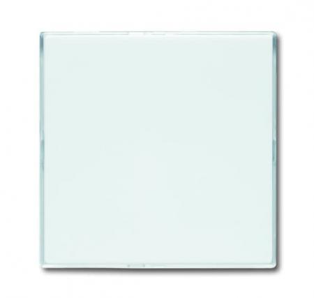 Busch-Jaeger 1576 CN-84 Zentralscheibe mit Beschriftungsfeld