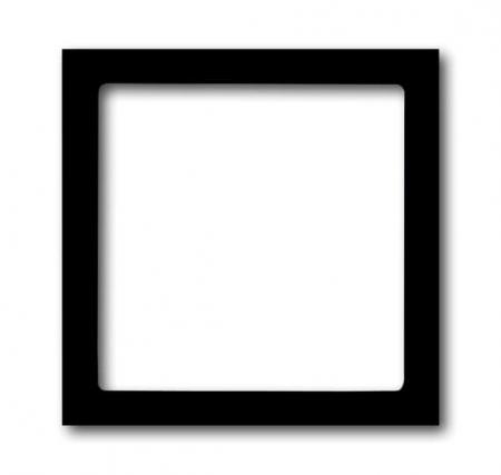 Busch-Jaeger 1716-81 Zentralscheibe