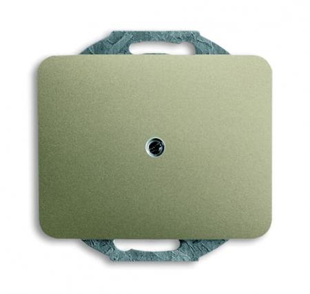 Busch-Jaeger 1742-260 Blindzentralscheibe mit Tragring