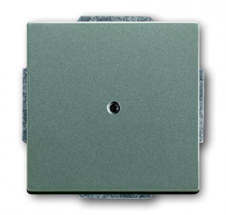 Busch-Jaeger 1742-803 Blindzentralscheibe mit Tragring