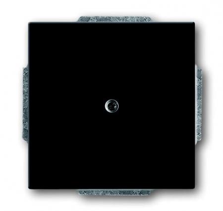 Busch-Jaeger 1742-81 Blindzentralscheibe mit Tragring