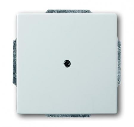 Busch-Jaeger 1742-866 Blindzentralscheibe mit Tragring