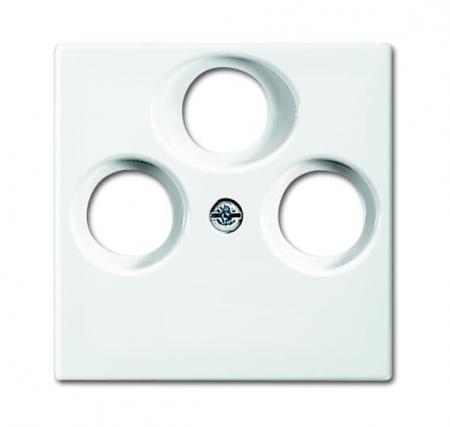 Busch-Jaeger 1743-03-914 Zentralscheibe als Abdeckung für handelsübliche Antennensteckdosen