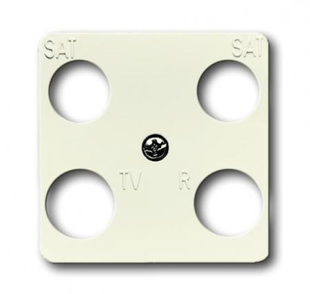 Busch-Jaeger 1743-04-212 Zentralscheibe 50 x 50 mm