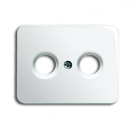 Busch-Jaeger 1743-24G Zentralscheibe als Abdeckung für handelsübliche Antennensteckdosen