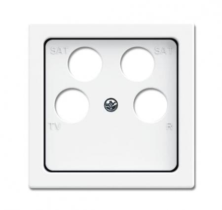 Busch-Jaeger 1743/10-04-84 Zentralscheibe