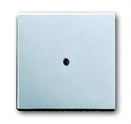 Busch-Jaeger 1745-83 Zentralscheibe