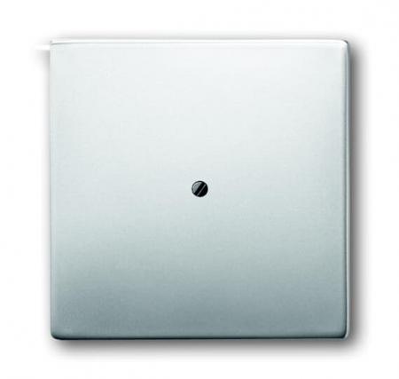 Busch-Jaeger 1745-866 Zentralscheibe