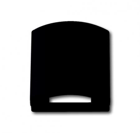 Busch-Jaeger 1746-885 Zentralscheibe