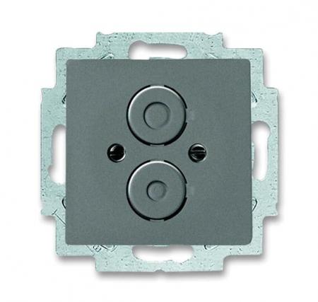 Busch-Jaeger 1748-803 Zentralscheibe mit Tragring