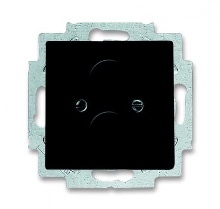 Busch-Jaeger 1748-81 Zentralscheibe mit Tragring