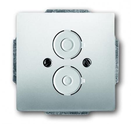 Busch-Jaeger 1748-866 Zentralscheibe mit Tragring