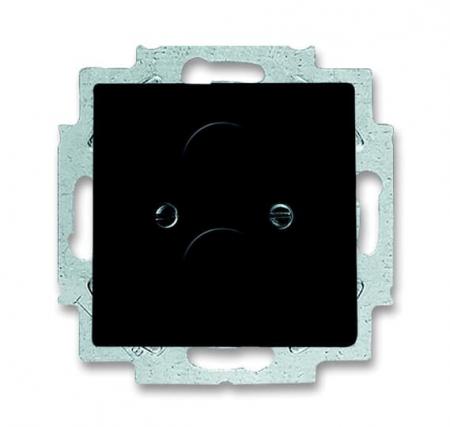 Busch-Jaeger 1748-885 Zentralscheibe mit Tragring