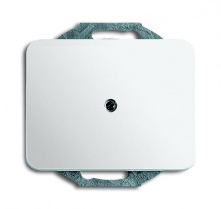 Busch-Jaeger 1749-24G Zentralscheibe mit Tragring