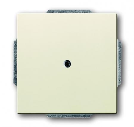 Busch-Jaeger 1749-82 Zentralscheibe mit Leitungsauslass