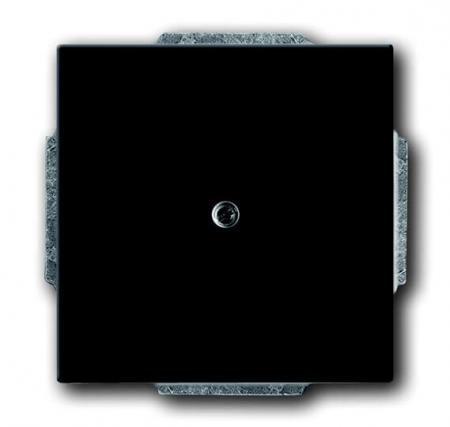 Busch-Jaeger 1749-885 Zentralscheibe mit Leitungsauslass